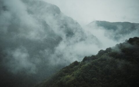 A peaceful misty mountain scene with lush green forests enveloped in clouds.