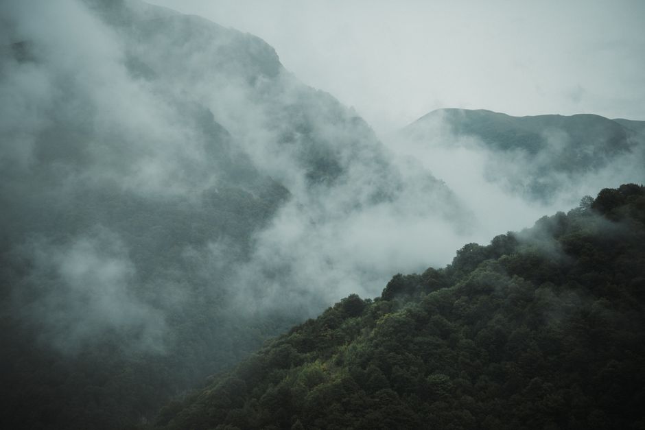 A peaceful misty mountain scene with lush green forests enveloped in clouds.